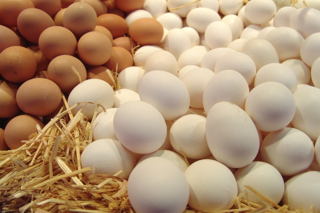 Huevos, alimento habitual en una dieta equilibrada